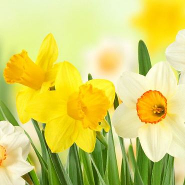 Open op Pasen en paasmaandag