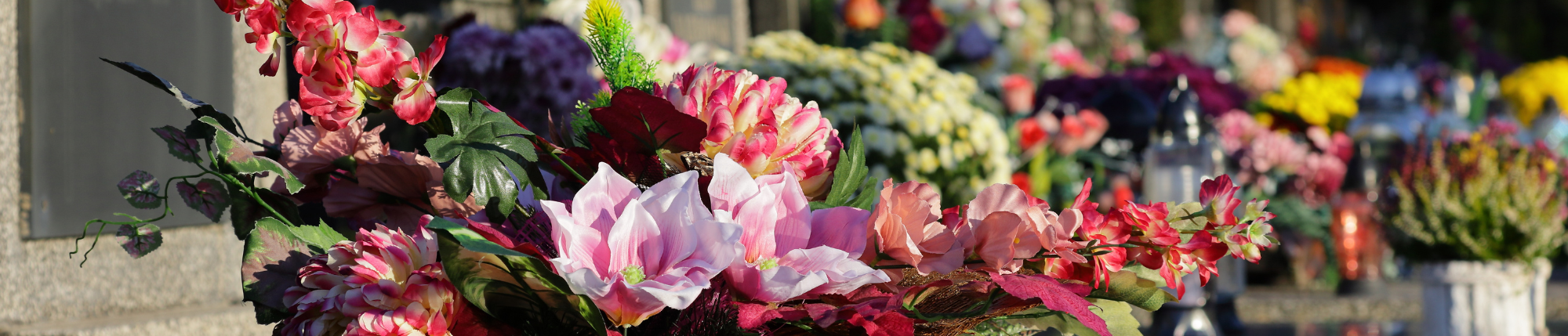 Wij zijn open op Allerheiligen en Allerzielen (1 & 2 november) Wij zijn open op Allerheiligen en Allerzielen (1 & 2 november)