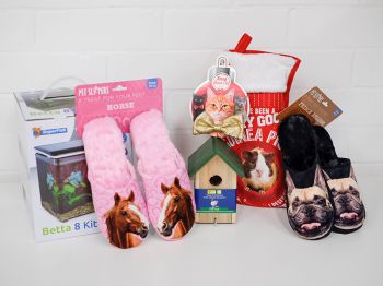 Onze geschenktips voor dierenvrienden