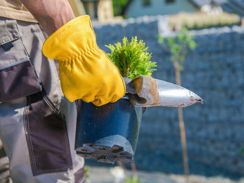Zet je tuin klaar voor de lente: 5 tips voor een frisse start